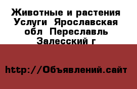 Животные и растения Услуги. Ярославская обл.,Переславль-Залесский г.